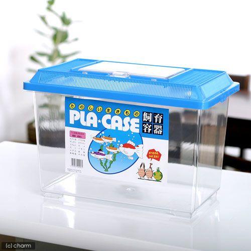 プラケース 飼育容器 大 青（365×215×250mm） 虫かご 昆虫