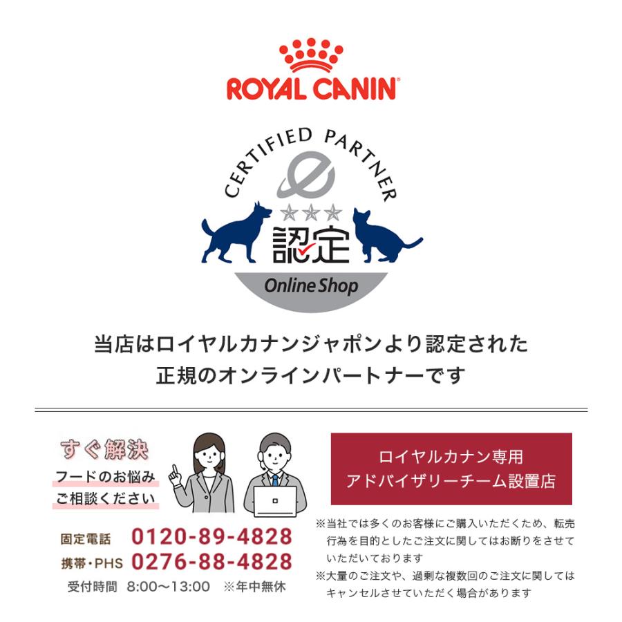ロイヤルカナン（ROYAL CANIN） 子猫 キトン 成長後期の子猫用 生後