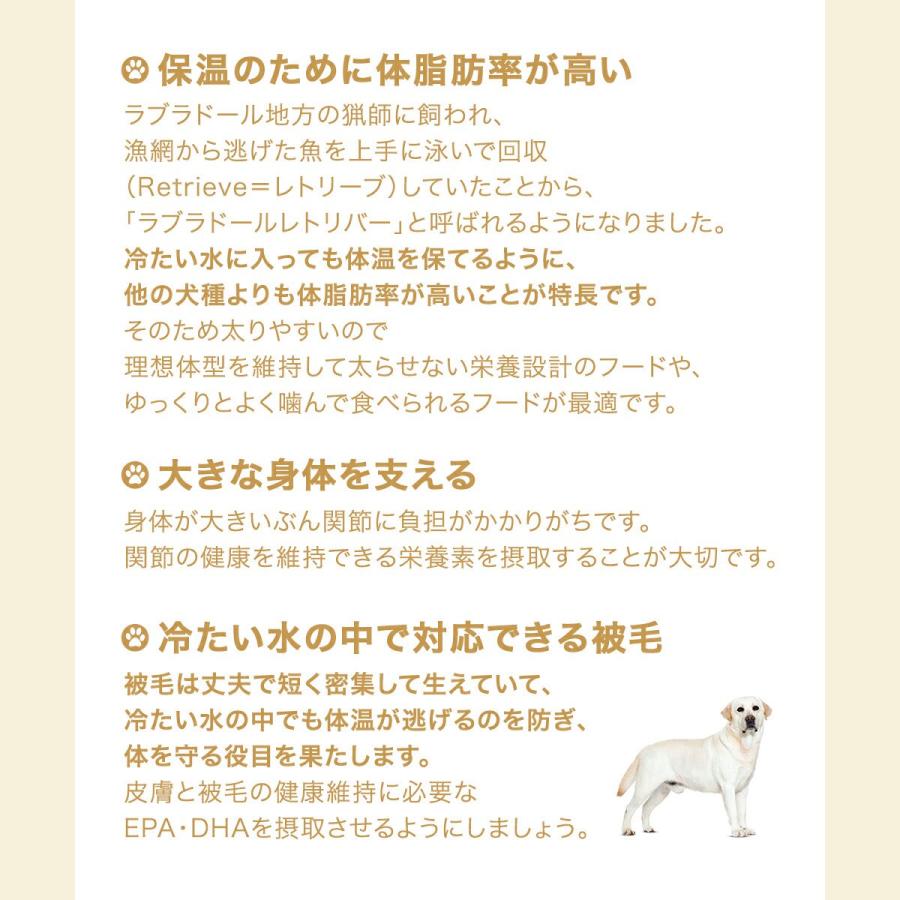 ロイヤルカナン（ROYAL CANIN） ラブラドールレトリバー 成犬〜高齢犬