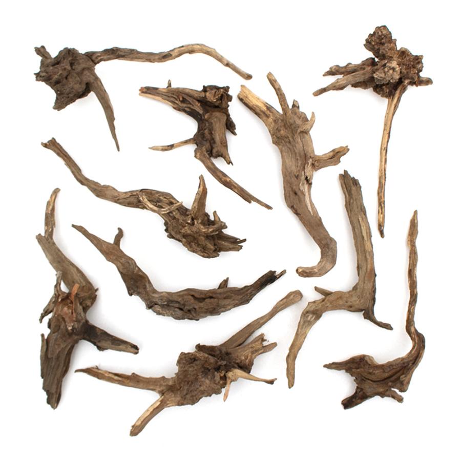 チャーム（charm） 形状お任せ 煮込み済み ディアーホーンウッド L