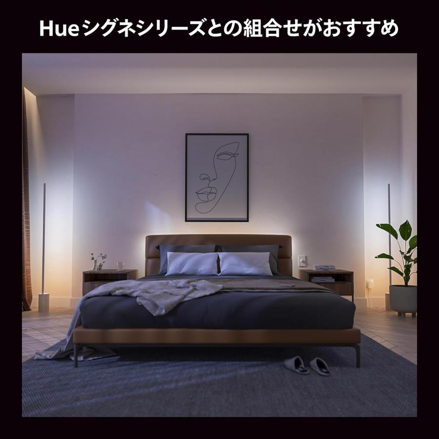 Philips（フィリップス） Philips Hue LEDテープライト グラデーション