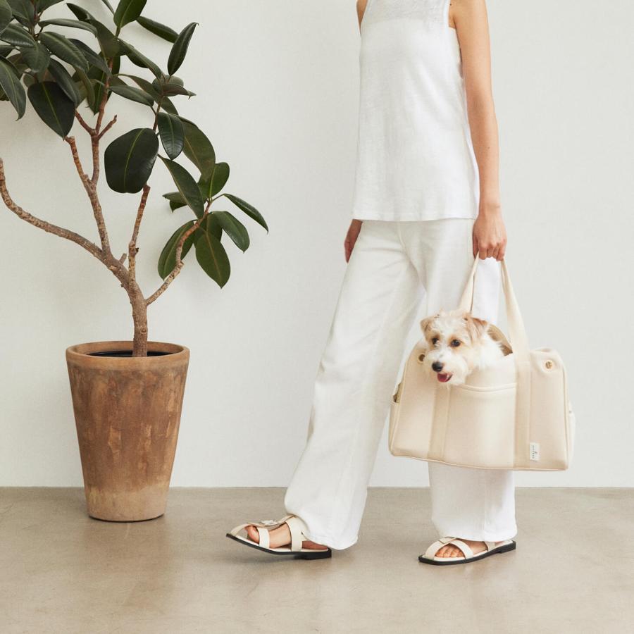 CITYDOG（シティドッグ） ペットキャリー 犬 キャリーバッグ 犬