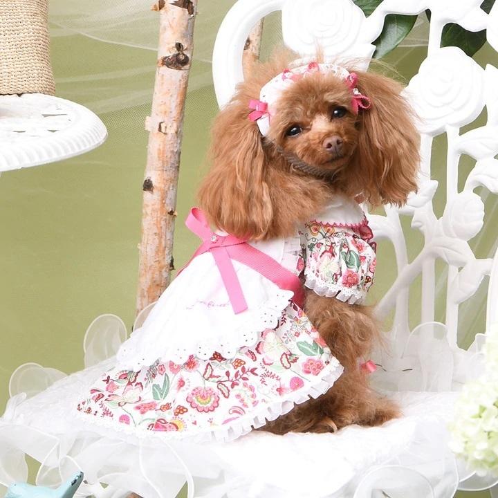 BIRDIE（バーディー） 犬の服 春 夏 Luxe birdie ミナージュワンピース
