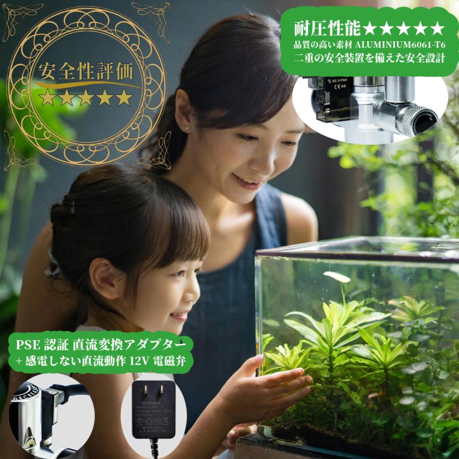 自動でCO2添加 水草育成用CO2フルセット Dタイプ （デジタルタイマー