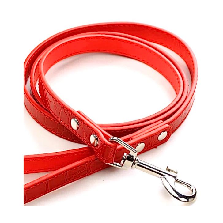 犬 首輪 リード セット 犬首輪 小型犬 中型犬 おしゃれ かわいい 犬用