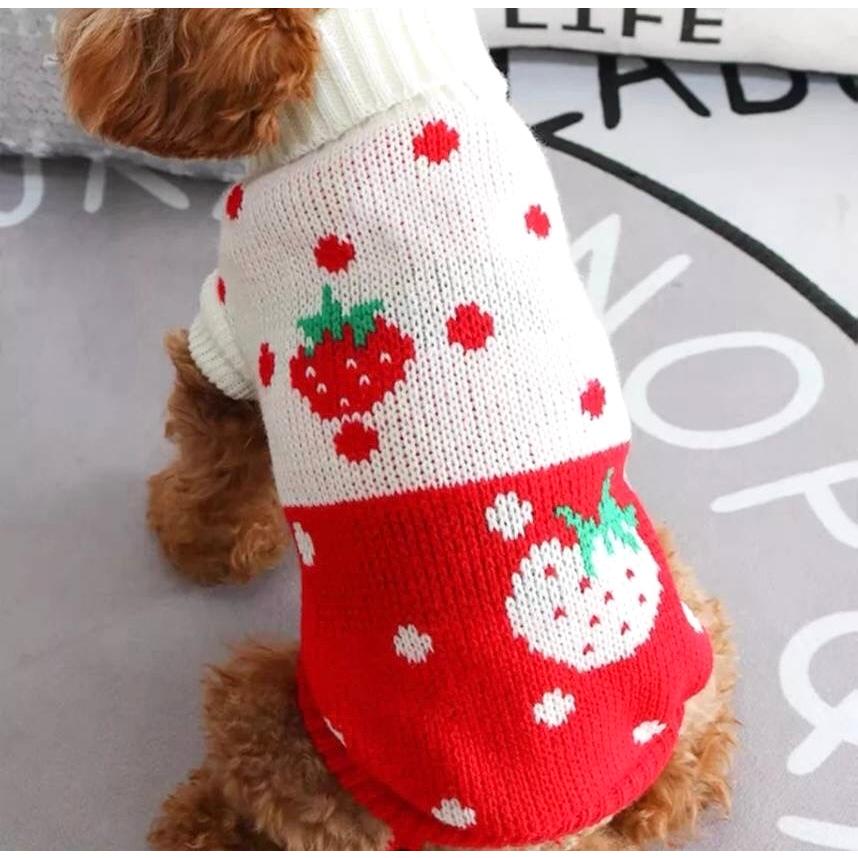 犬服 S わんこの普段着赤ときどき白いちご