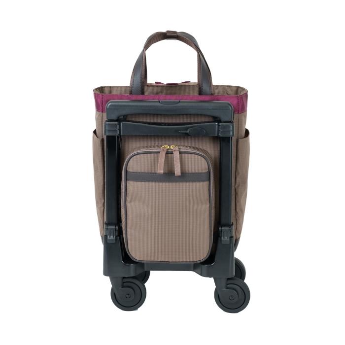 SWANY D640 Mサイズ ルバンド キャリーバック グレージュ色 SWANY