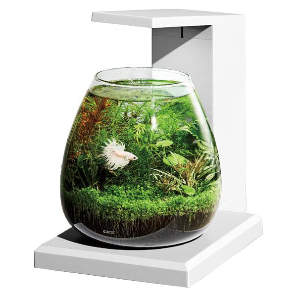 GEX グラスアクア ペルコ PERCO T-WH オールインワン水槽セット