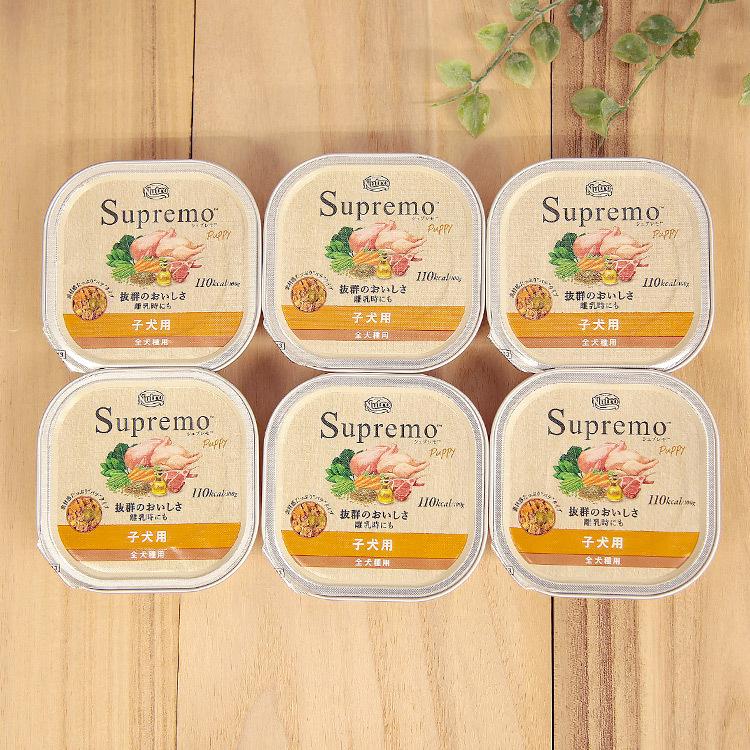 シュプレモ ニュートロ 子犬用 トレイ 100g×6個 （送料無料
