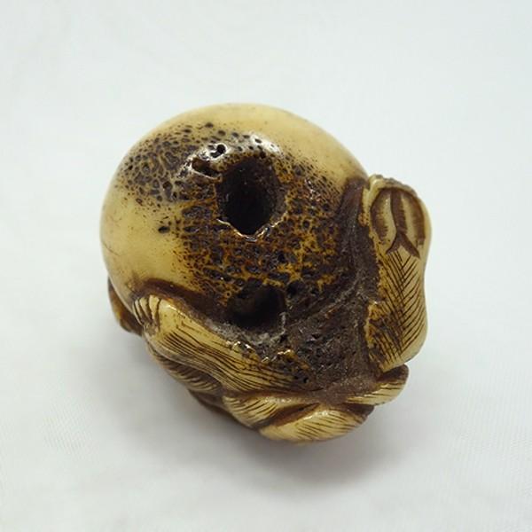 根付 鹿角手彫 玉乗り獅子 : アンティーク慈光 - 通販 - Yahoo