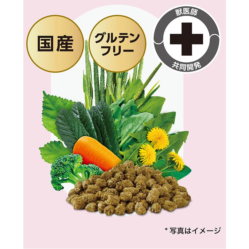 SELECTION PRO. イースター バニーセレクションプロ リラックス