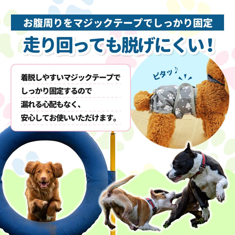 マナーパンツ 犬 オムツカバー メス マナーウェア サニタリーパンツ 犬