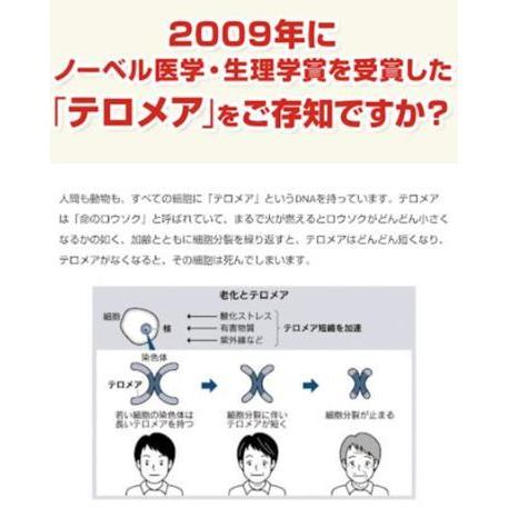 ペット用 サプリメント ペッタム 寿命のびーる ペット テロメア 70g 犬