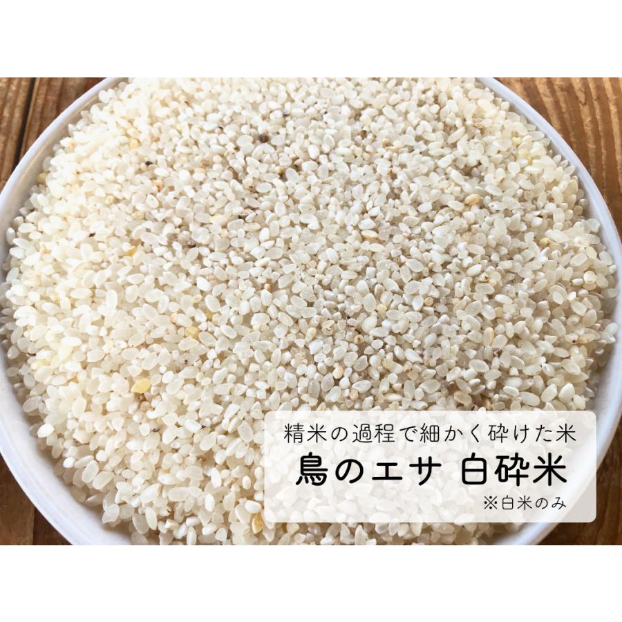 鳥の餌 鳥のエサ 砕米 10kg 送料無料 : あおき商店 - 通販 - Yahoo