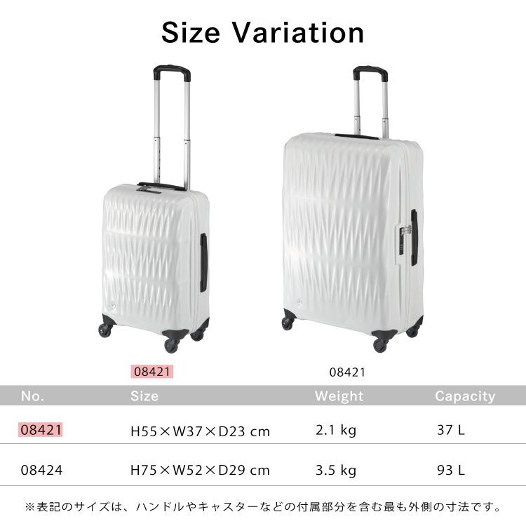 ProtecA スーツケース Proteca プロテカ トリアクシス 20th LTD 機内