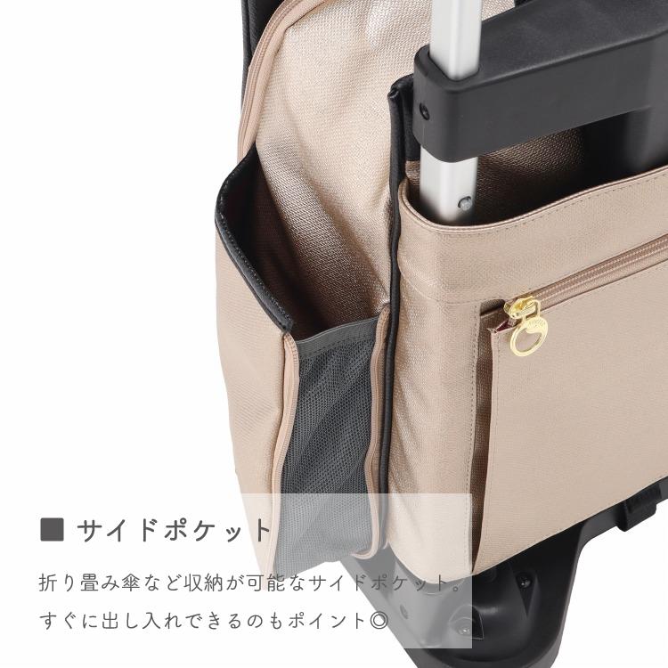 Ace（エース） soelte/ソエルテ カランド2 お買い物キャリー