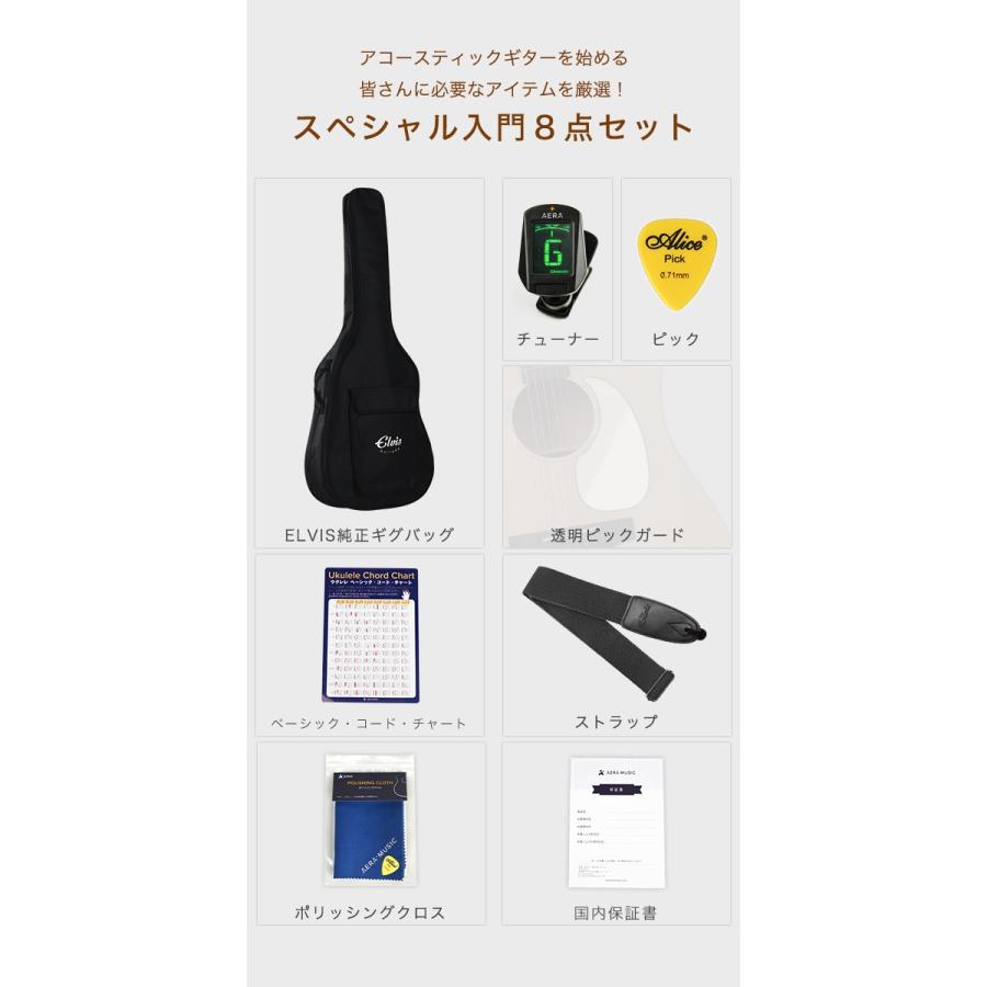 初心者セット8点】ELVISエルビス Master 1 アコースティックギター