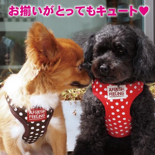 メール便送料無料 犬 ハーネスリード ハーネスリードセット 犬用 小型