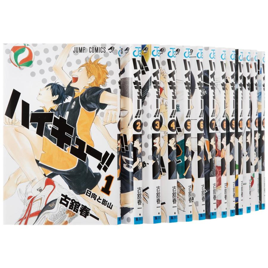 ハイキュー!!全巻 1～45巻➕ハイキュー!!ショーセツバン全13巻