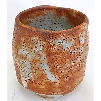 プレミアム会員 湯のみ 土もの 【赤志野椿文湯呑】 あかしの 志野焼