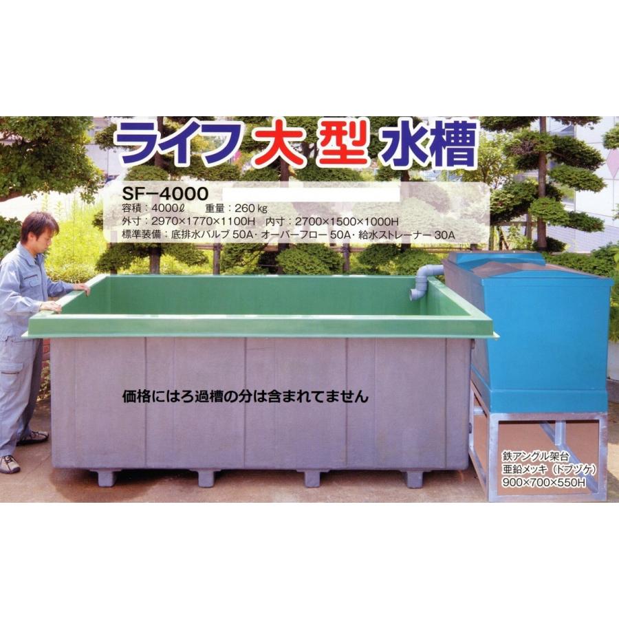 大特価‼️ 最終値下げ‼️ FRP水槽‼️引き取り限定‼️ 紅白約70cm‼️