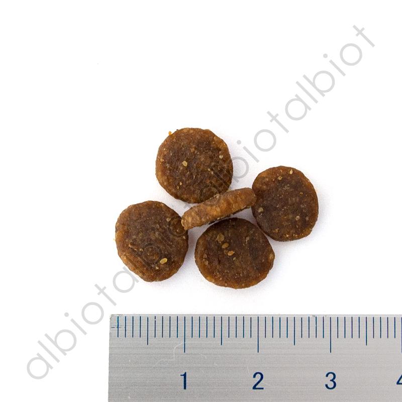 ACANA（アカナ） お取り寄せ品 アダルトスモールブリードレシピ 6kg