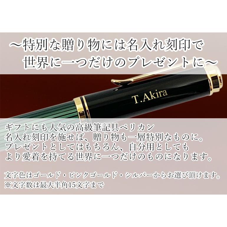 Pelikan（ペリカン） 万年筆 40周年記念 リミテッドエディション M