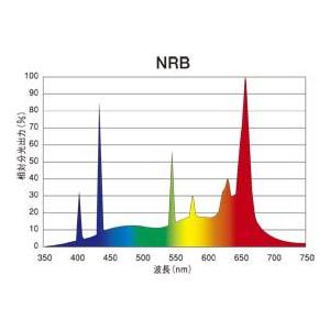 プリンス スリムライン T6スリム蛍光灯 ランプ長1556mm 温白色