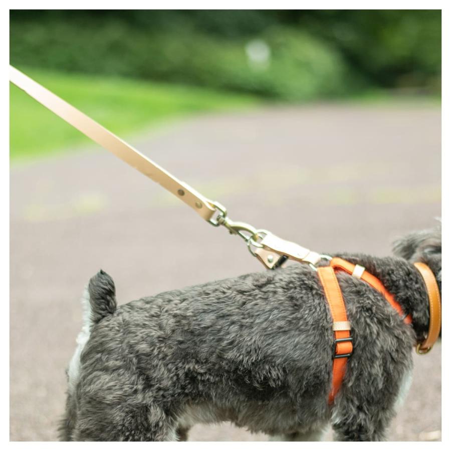 RafiCaro（ラフィカロ） リード 犬 ペット用 本革 牛革 ブランド