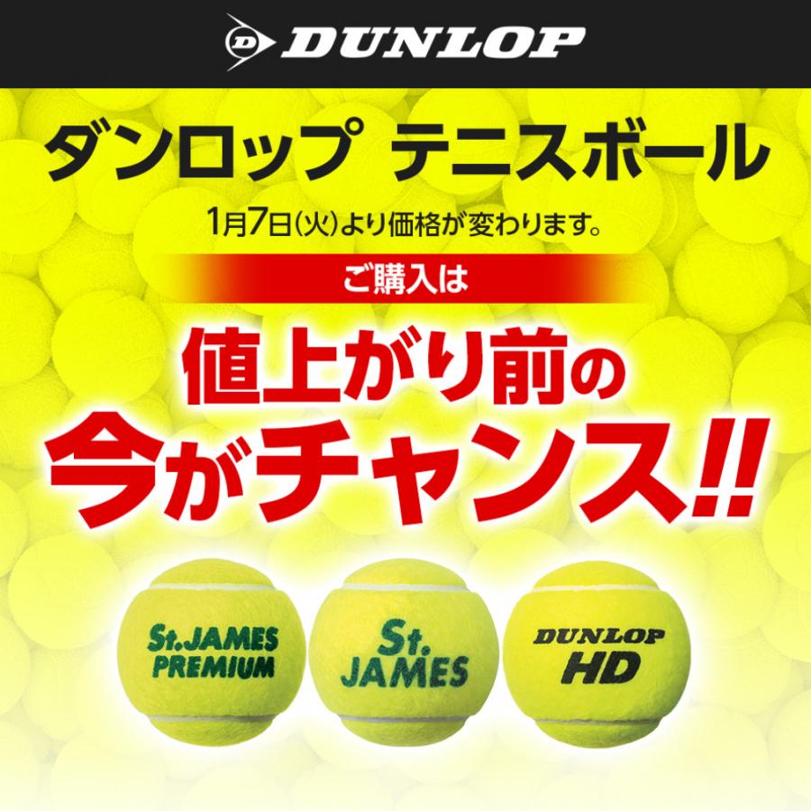 Dumlop St James 未開封 4球✖️15缶 Dumlop St James 未開封 4