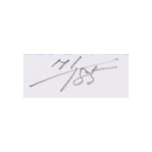 富士山 絵画 風景画 シルクスクリーン 版画 池上壮豊 「富士・展開