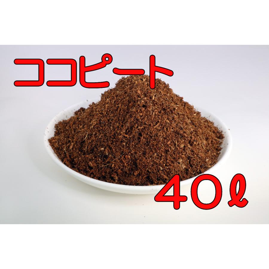 ココナッツピート 40L : AICHIメーデル - 通販 - Yahoo!ショッピング