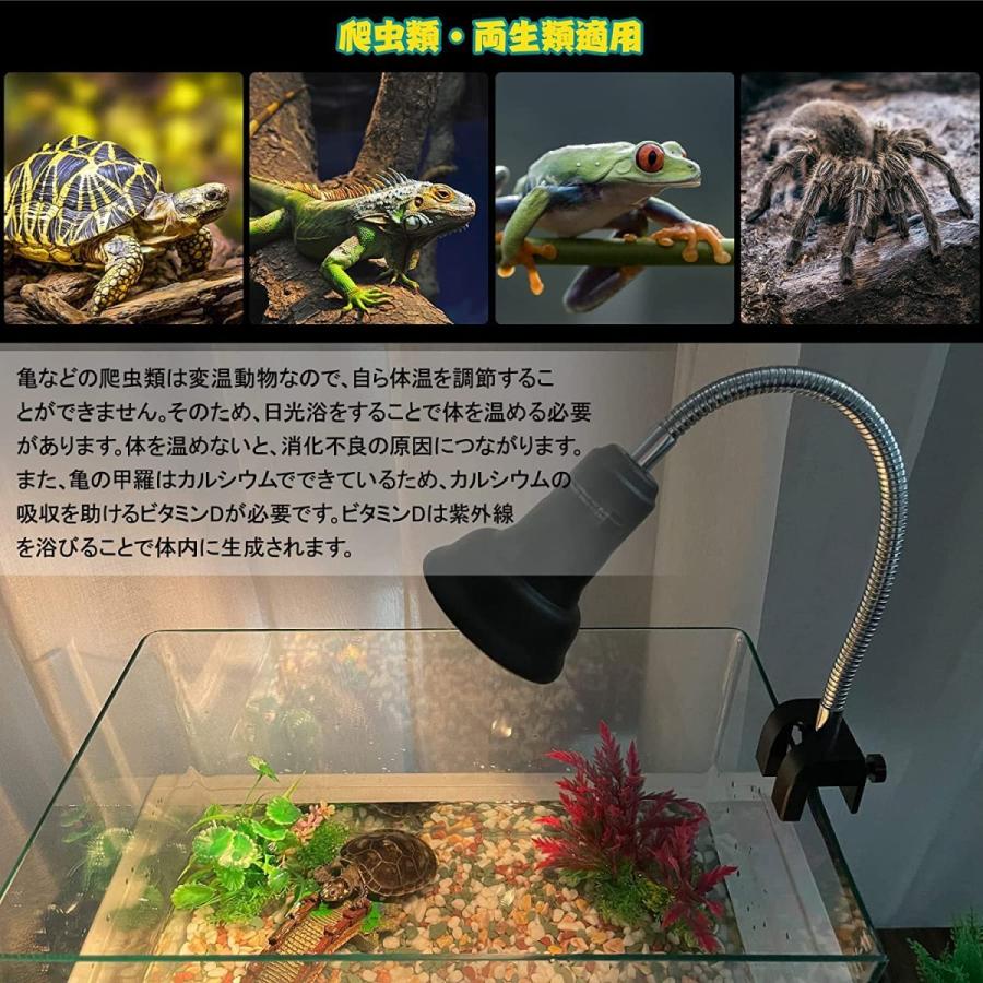爬虫類 カメレオン 飼育 5点セット ケージ UVライト ヒーティング