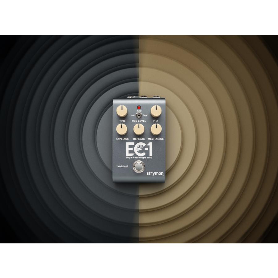 Strymon EC-1 ストライモン single head dTape echo テープエコー : 愛