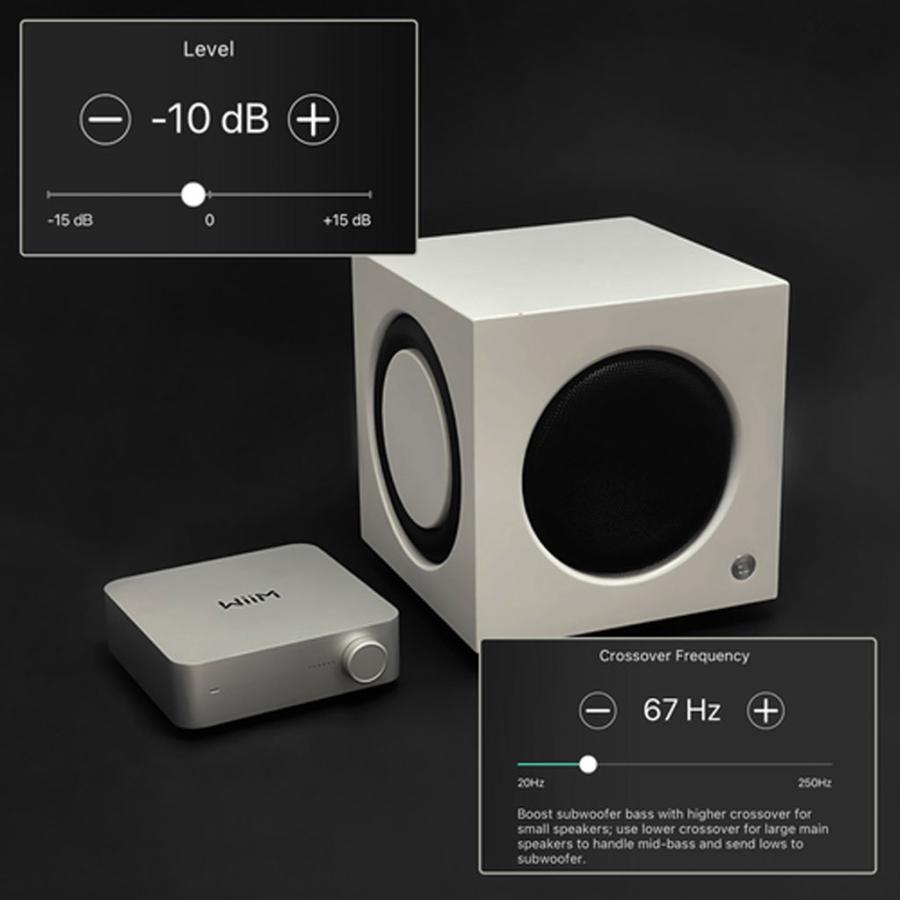 WiiM WiiM Amp [スペースグレー] [ウィーム] スペースストリーマー