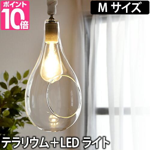 スワン電器 ボタニカル ペンダントライト 楽天市場】【受注生産:1W〜10