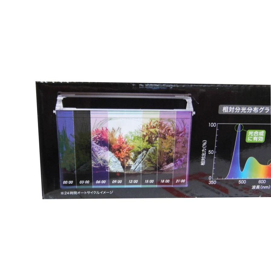 コトブキ工芸 レイマックス600 RAYMAX 24時間自動調光 送料無料