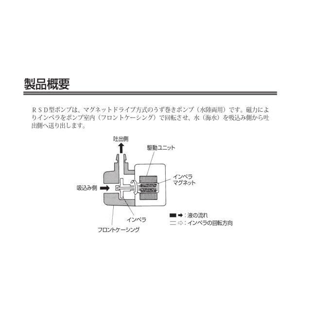 レイシー RSD-20A 50Hz 水陸両用ポンプ 流量毎分20L 送料無料 管理80