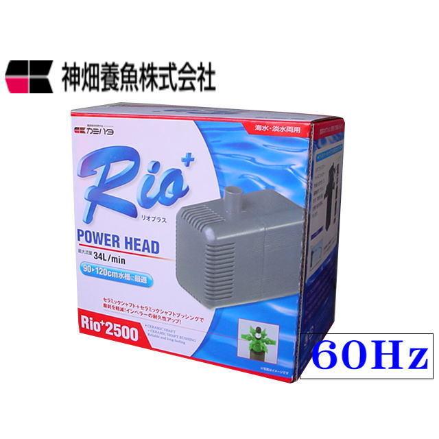 カミハタ Rio+2500 60Hz リオプラス 水中ポンプ 送料無料 管理60