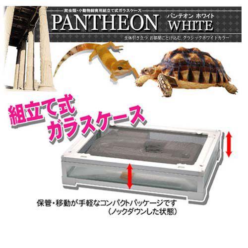 三晃商会 [送料無料] パンテオン ホワイト6035 サンコー 爬虫類 ガラス