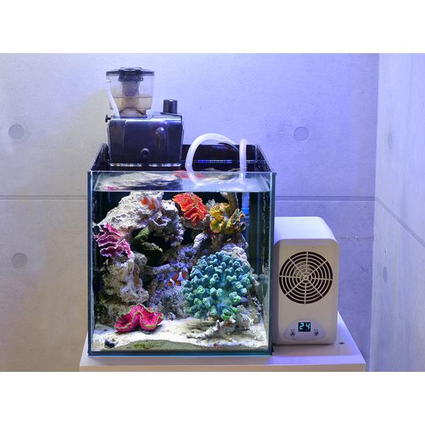 ゼンスイ プロテインスキマーQQ1 : アクアテイラーズヤフー店 - 通販