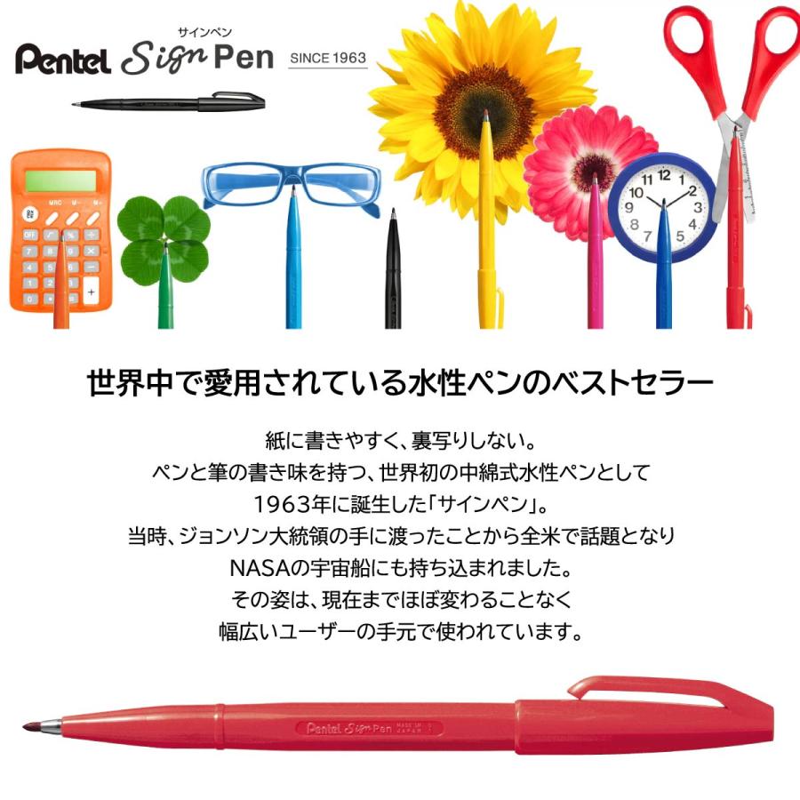 ぺんてる（Pentel） サインペン 5色(ケース入り) (S520-5) ネコポス可