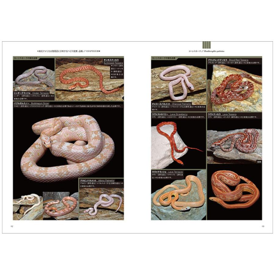 ヘビ品種図鑑 誠文堂新光社 書籍 【 へび 図鑑 蛇 プレゼント ギフト