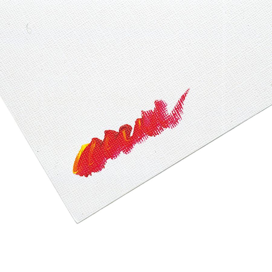 ORION [ メール便可 ] キャンバスボード サムホール サイズ227×158mm