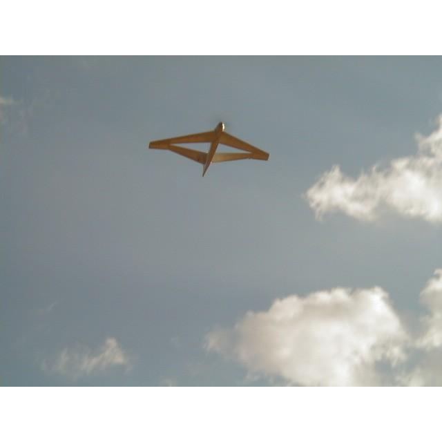 ジョイントウイング」JW リブ Halfレーザーカット版バルサキット