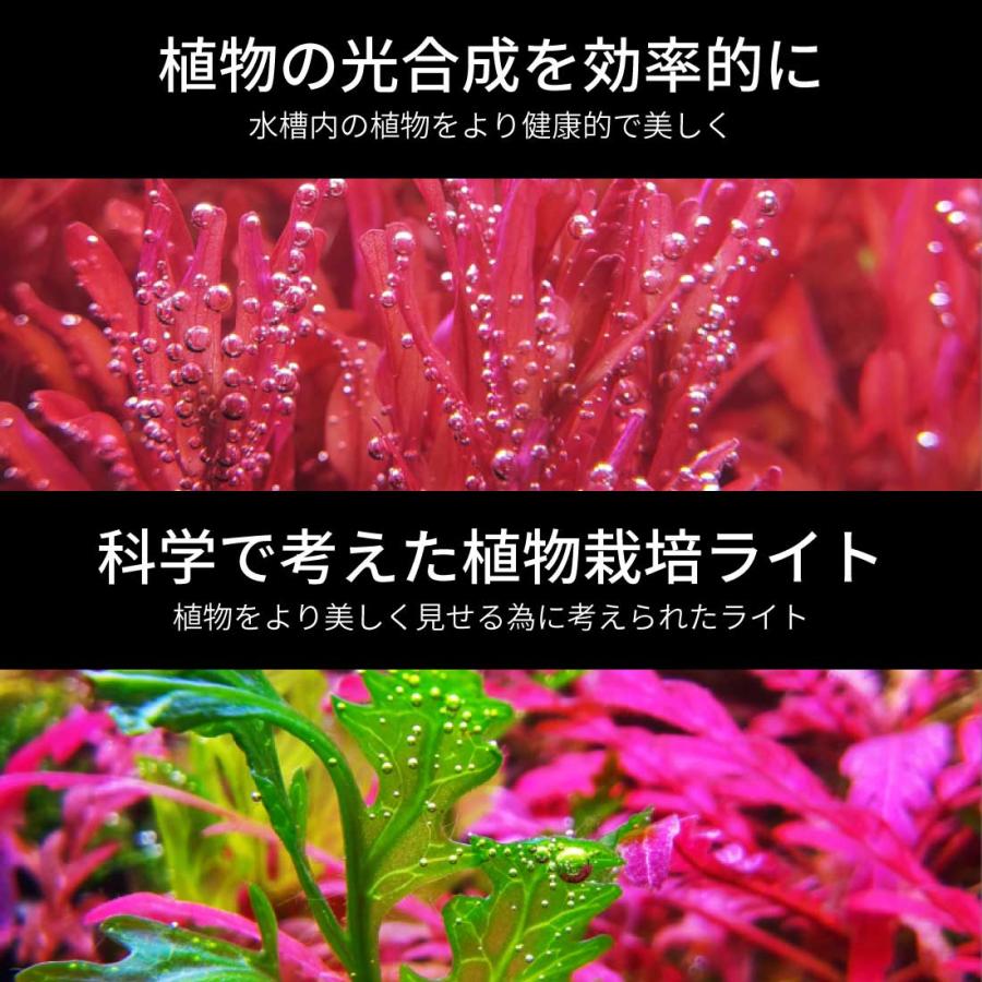 LEDSTAR モデルS2 AQ-S45 水槽LEDライト メーカー正規保証 正規代理店