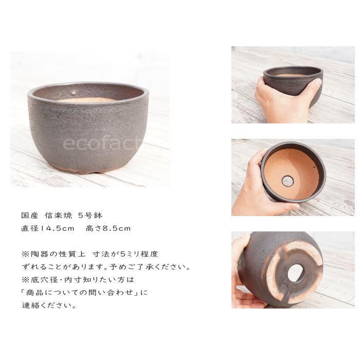陶器鉢 植木鉢 5号 丸型 艶消し 黒 ブラック おしゃれ プランター 園芸