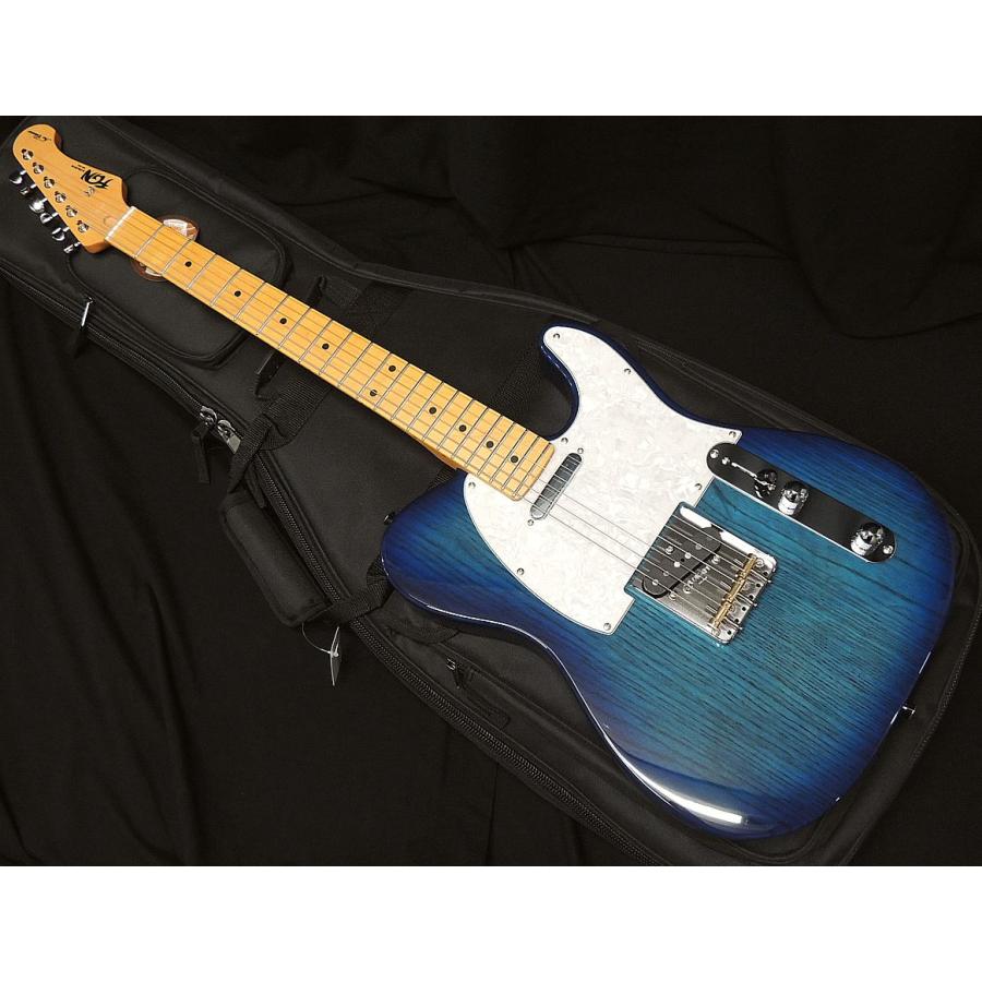 FUJIGEN（フジゲン） FGN FUJIGEN NTE100MAH SBB テレキャスター