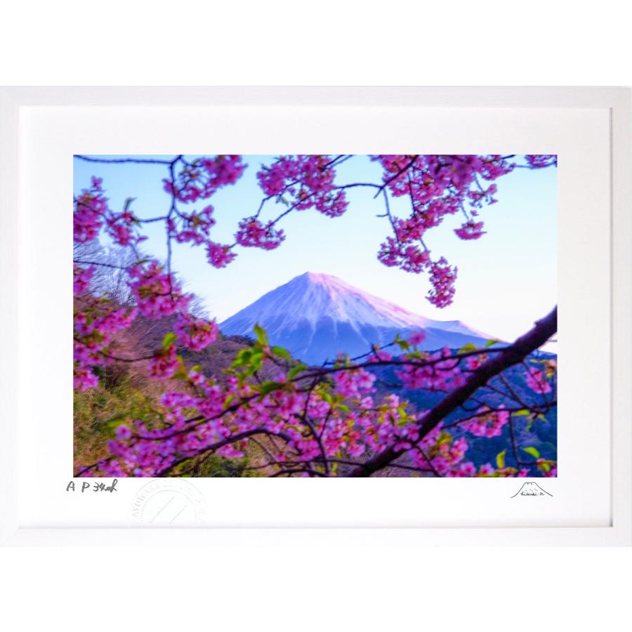 油絵 菅家令子 絵 絵画インテリア 額付(白) F6-081911 風景 富士山