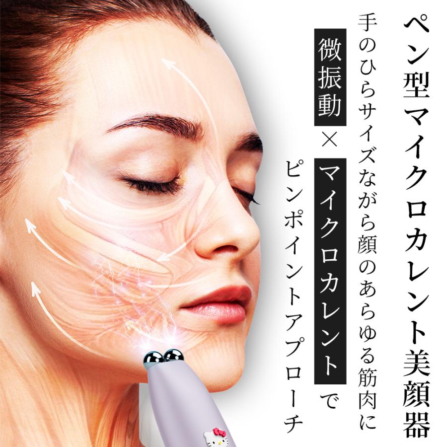 美顔器 美顔器 フェイスボディ複合美容機器 美容 複合機 ZX｜製品紹介